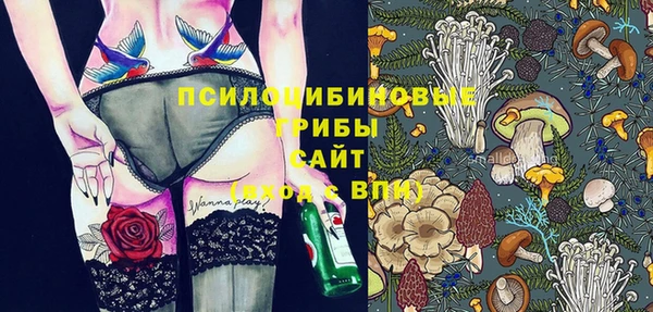 apvp Аркадак