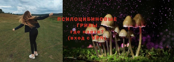 apvp Аркадак